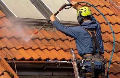 Démoussage et hydrofuge de toiture à Castelvieilh